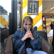 Professeur natif anglais niveau primaire/collège